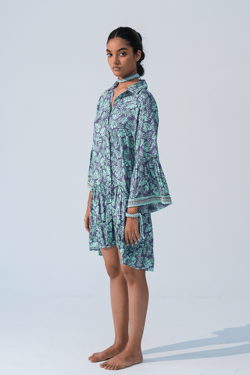 Fig Fusion Drop Waist Dress